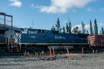 BCOL 4652